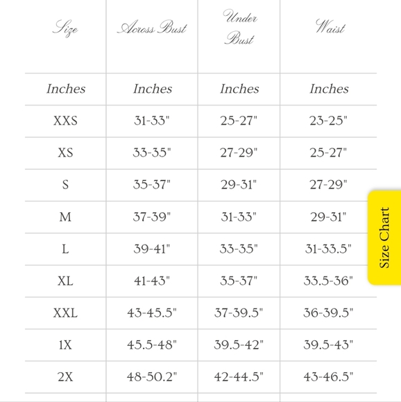 Strawberry Cream Farmer's Market Dress NWT Size L - Picture 6 of 7